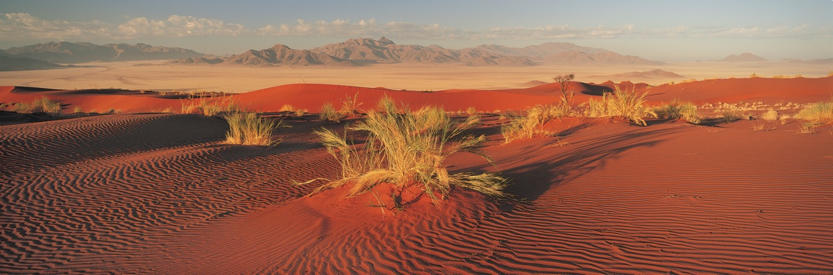 Red desert dunes under a clear sky